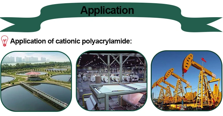 Cation/Nonionic/Anionic Polyacrylamide Price/PAM with Free Sample Polyacrylamide Powder